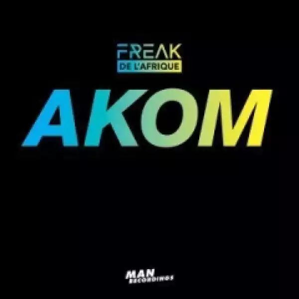 Freak De L Afrique - Akom (DJ Satelite Remix)